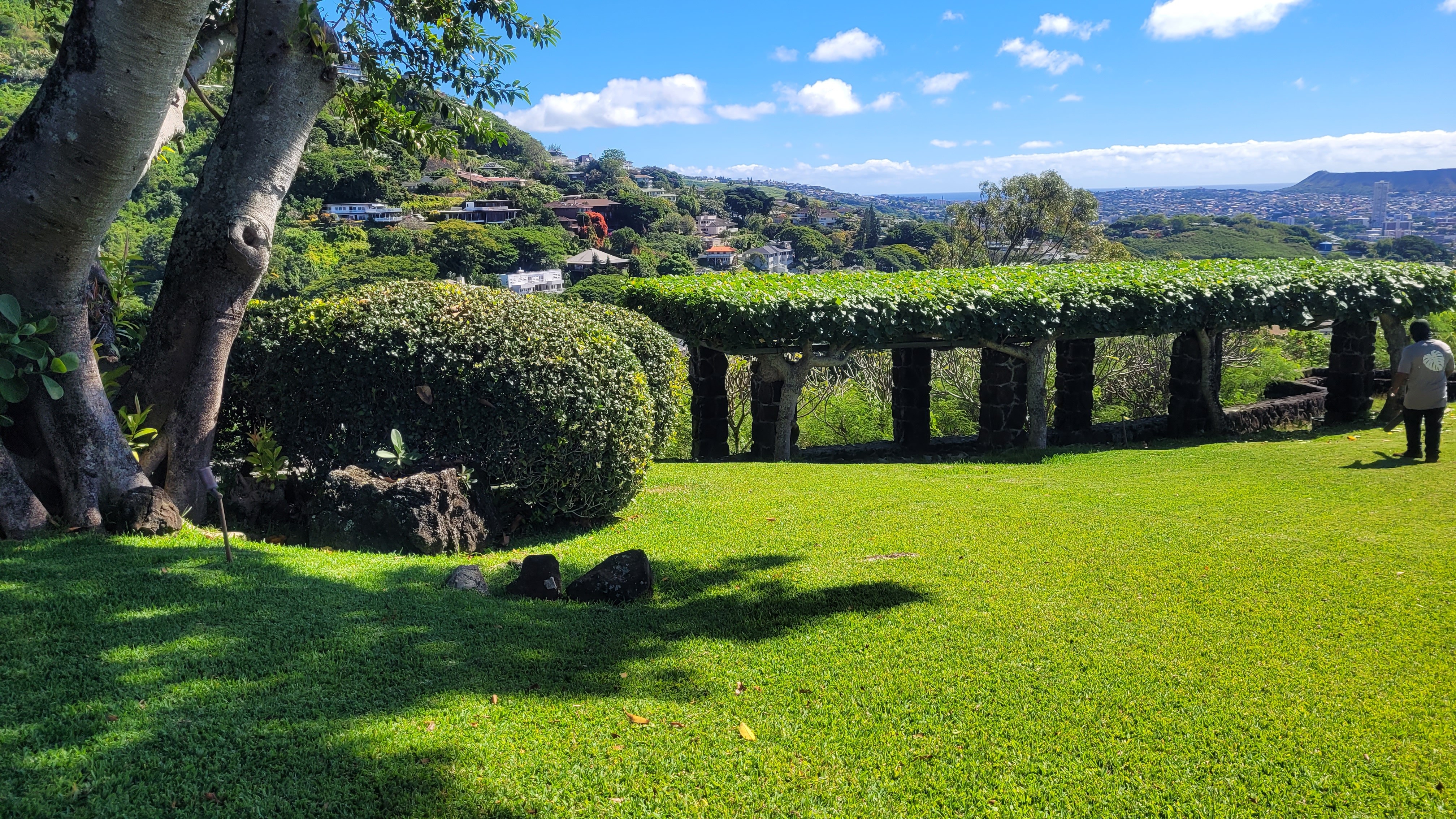 Landscaping Maintenance