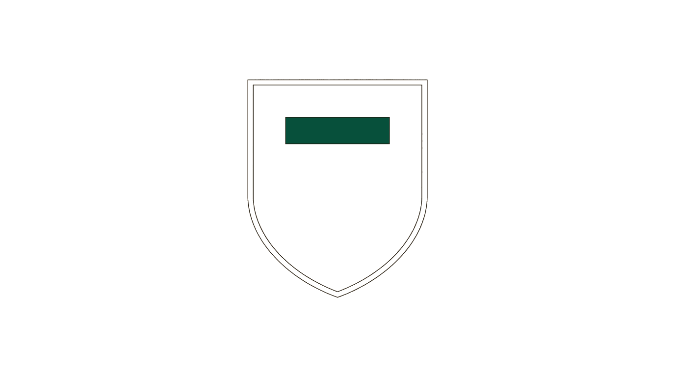 Illustration of a shield symbolizing the protection of bidder rights through a formal complaint in the procurement procedure