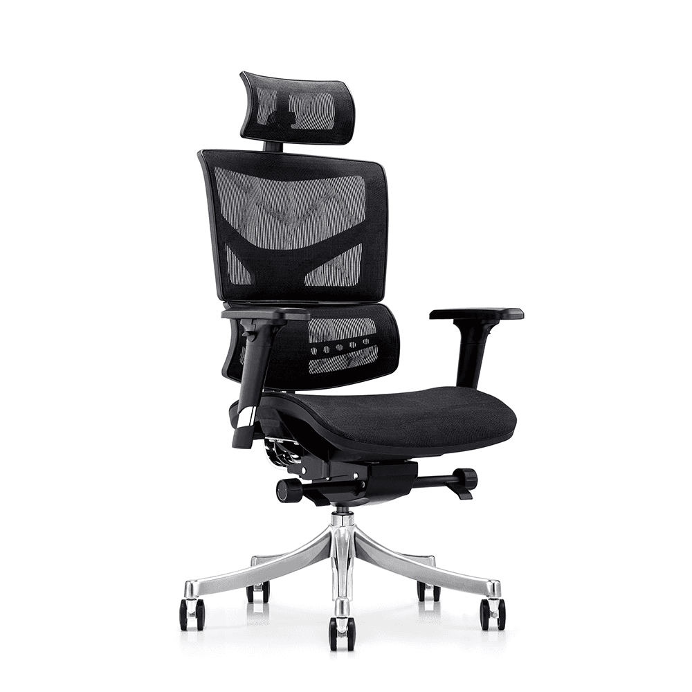 High-back ergonomic desk chair featuring a dual-back design for lumbar protection and 3D adjustable armrests.