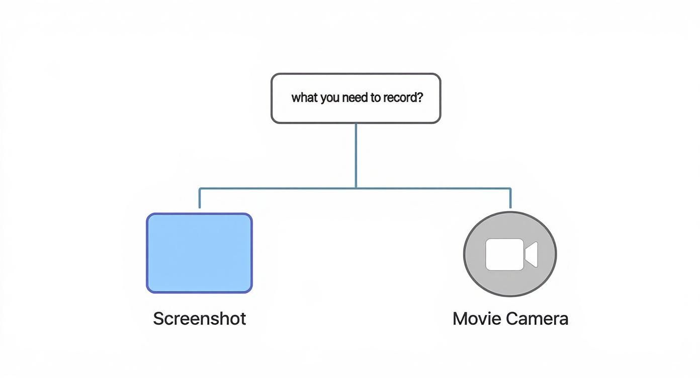 A flowchart showing two options for recording content: Screenshot or Movie Camera.