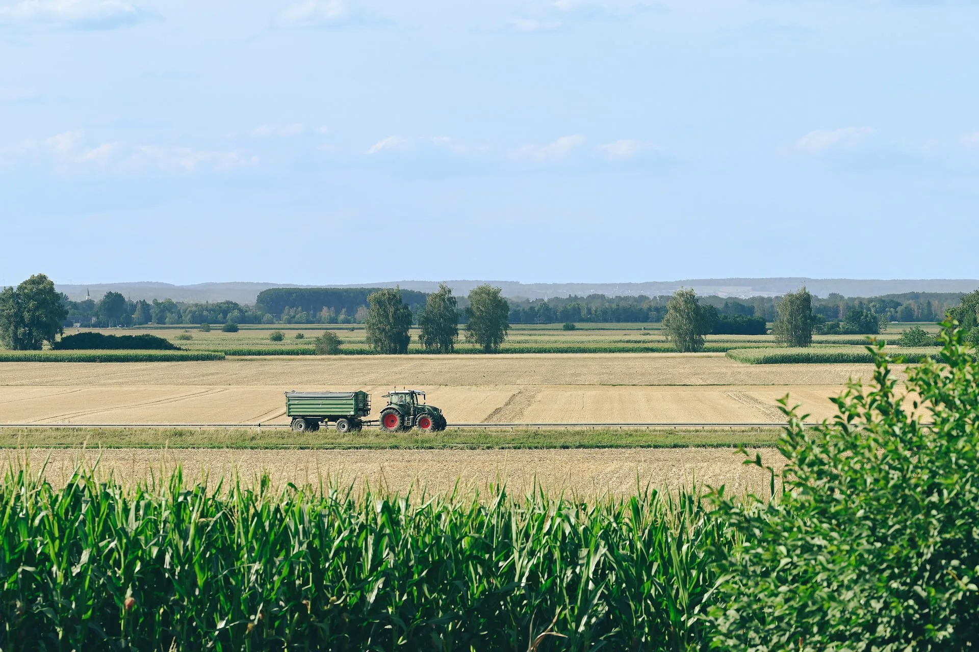 Tractor and trailer crossing harvested fields behind a row of maize
