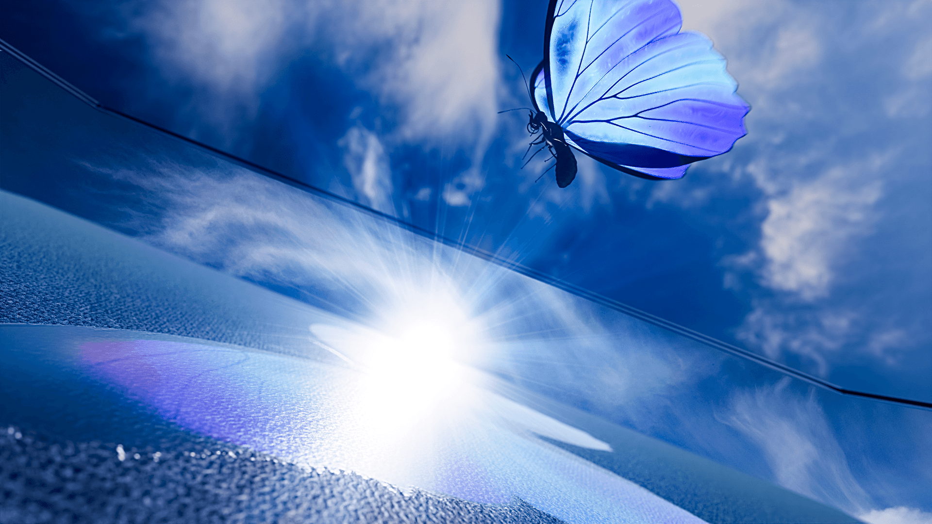 Vibrant and detailed blue butterfly print created by the Gravity Pro DTF printer, demonstrating high-speed precision and industry-defining print quality.