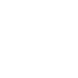 ECG