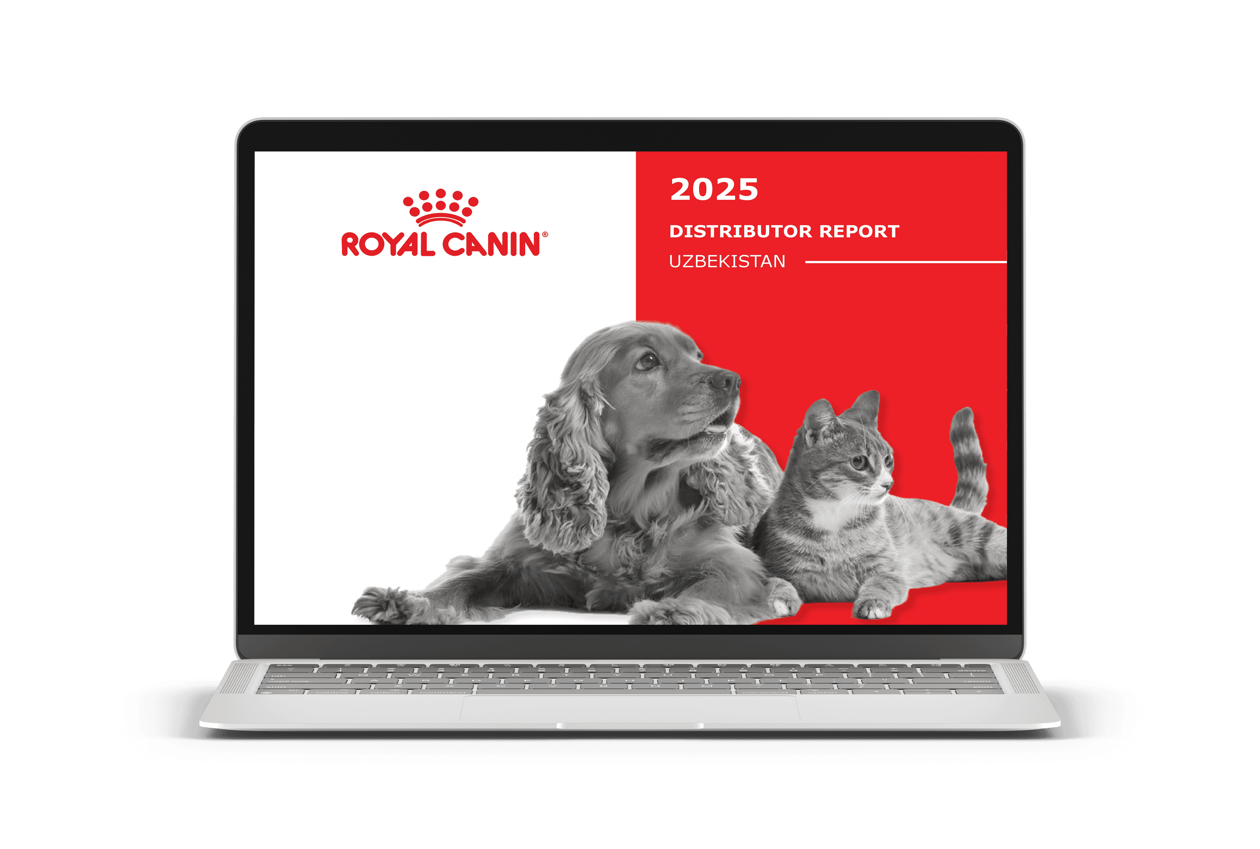 Создание презентаций в Ташкенте