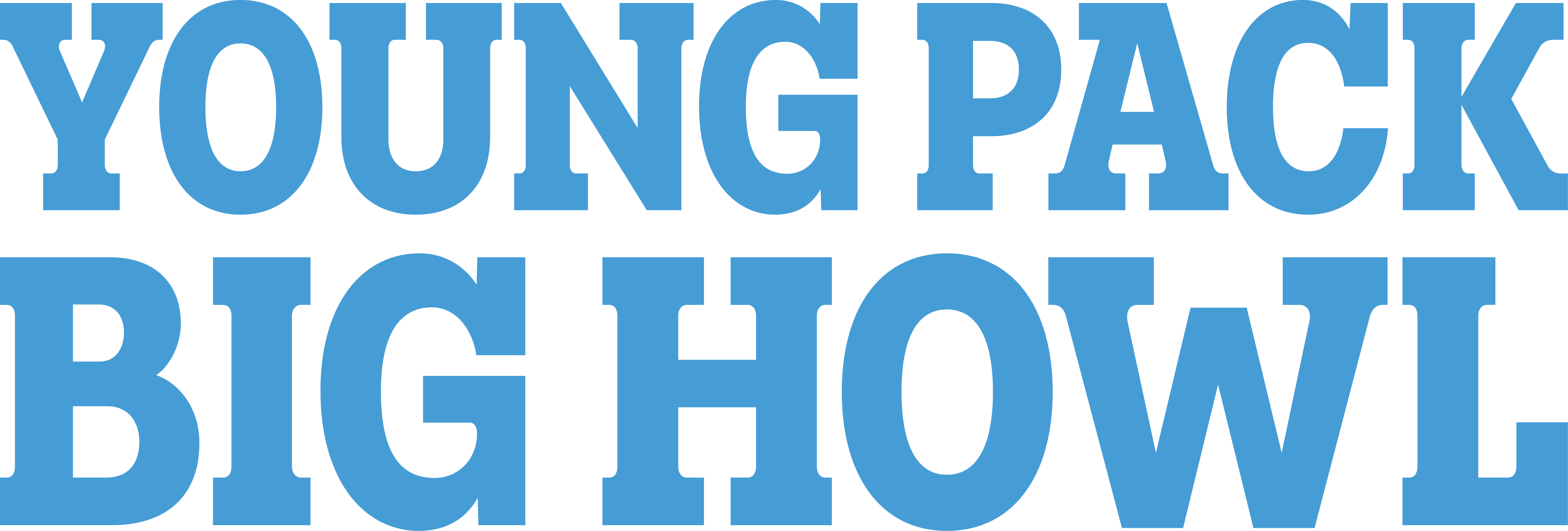 Final logo and visual identity system