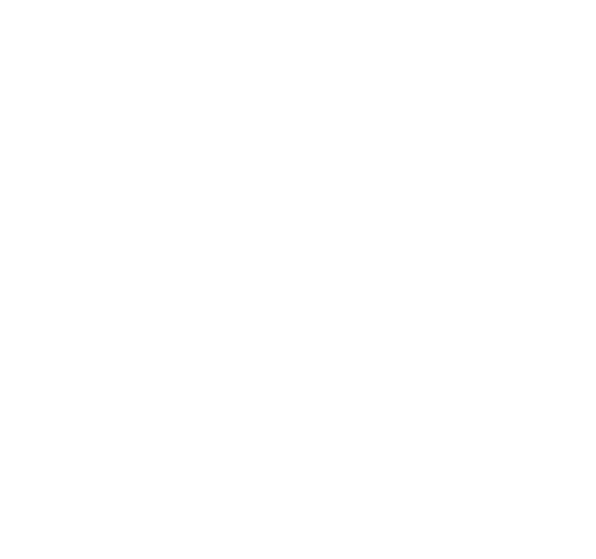 Pagos 100% seguros