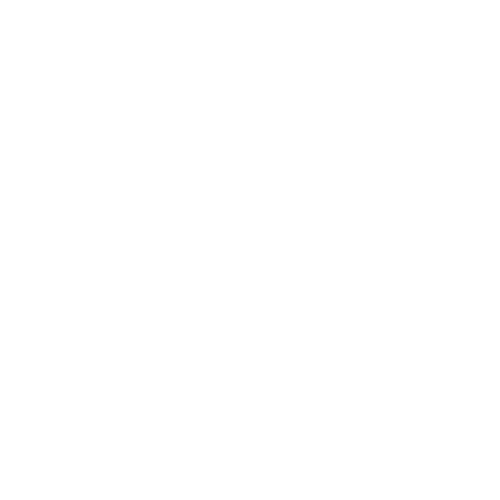 Logo Design Project for a Client