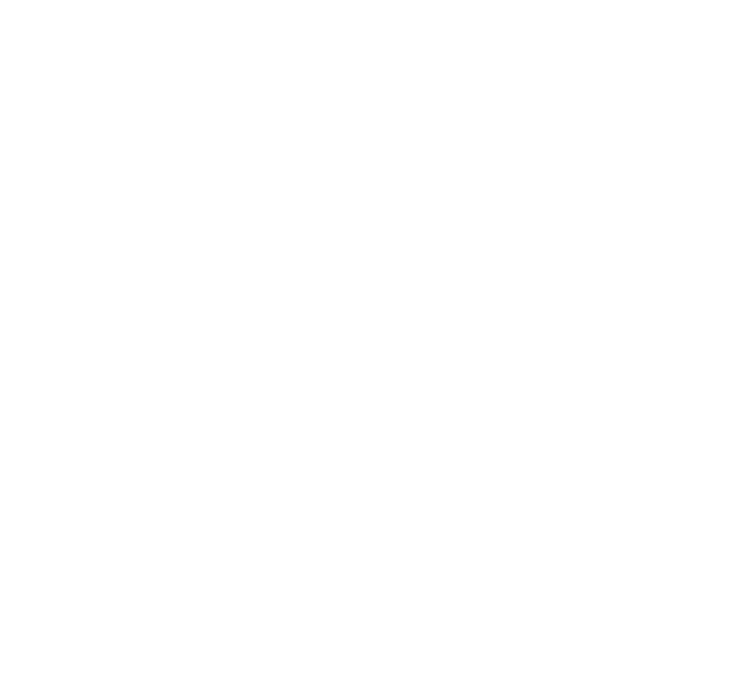 White state outline of Florida