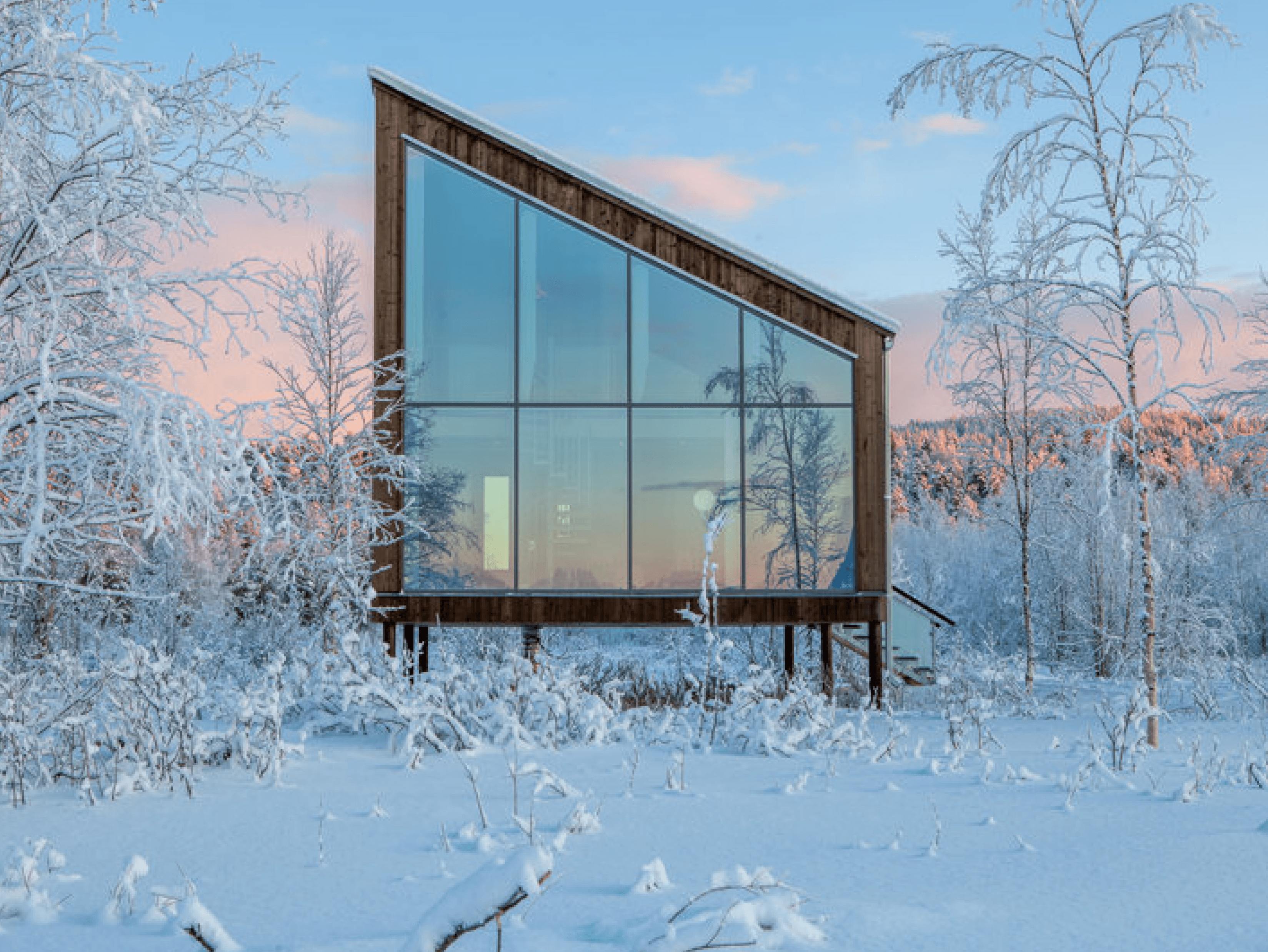 Eine moderne Hütte im Wald im pinken Licht
