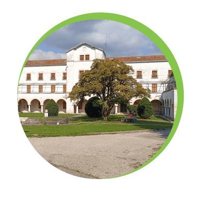 Speaker Presenting at Conference with Audience