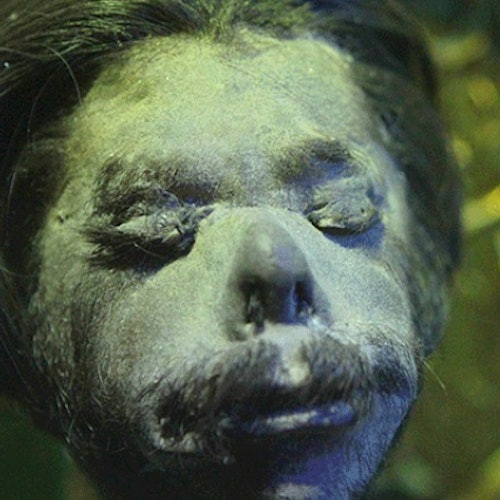 Ripley's Believe It or Not! Hollywood