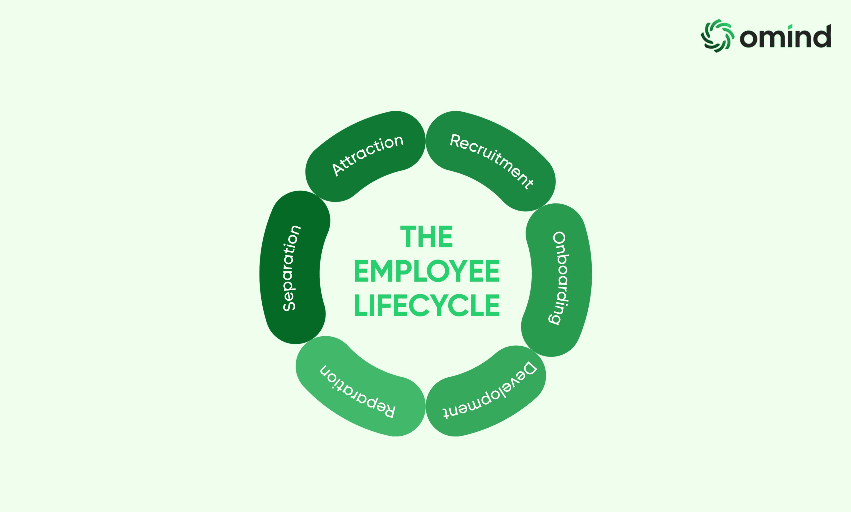 A diagram illustrating the key stages of the employee lifecycle, including attraction, recruitment, onboarding, development, retention, and separation, highlighting the comprehensive process of ELM.