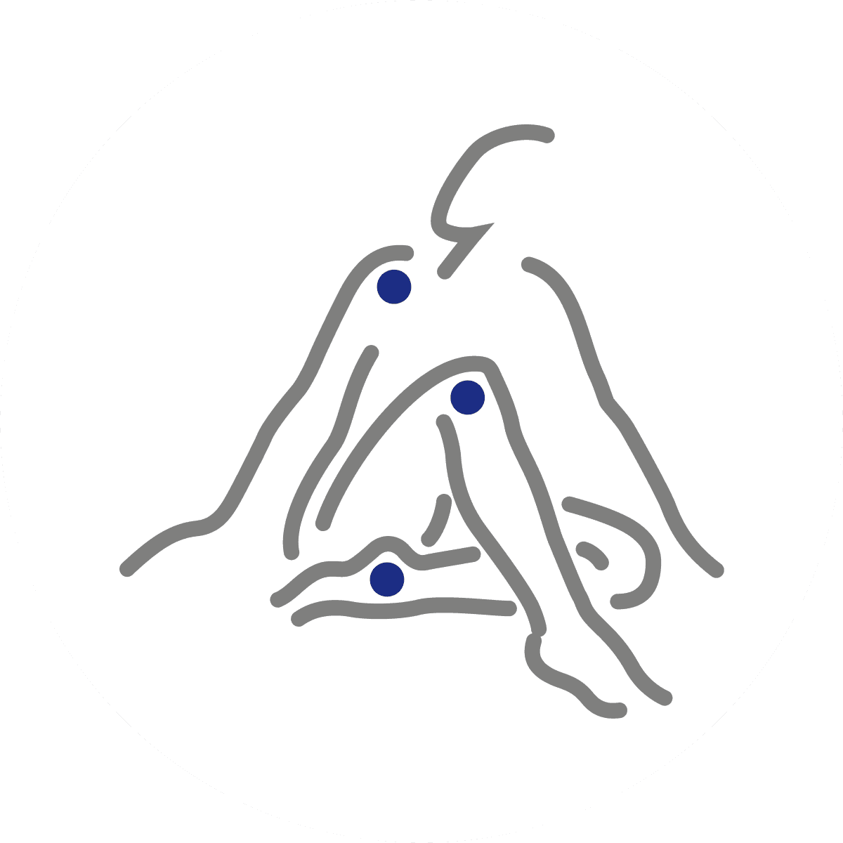 WINTER Medizintechnik Logo Icon