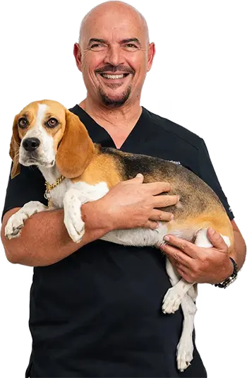 Dr. Nenad Misura: Veterinary Surgeon