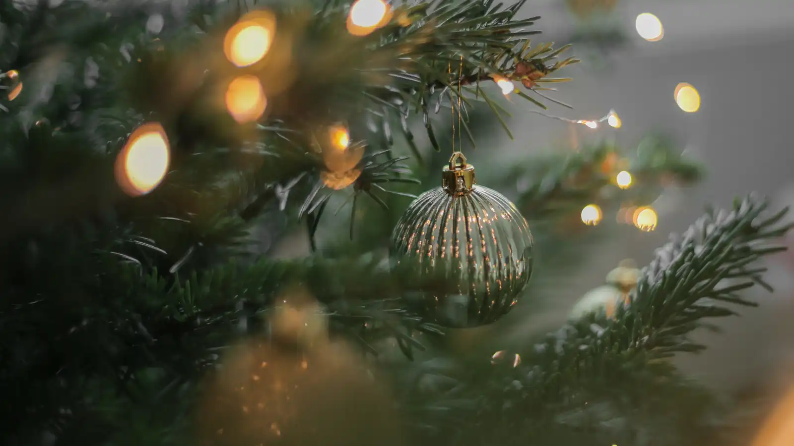 I’m dreaming of a green Christmas: A letter from a sustainable festive future