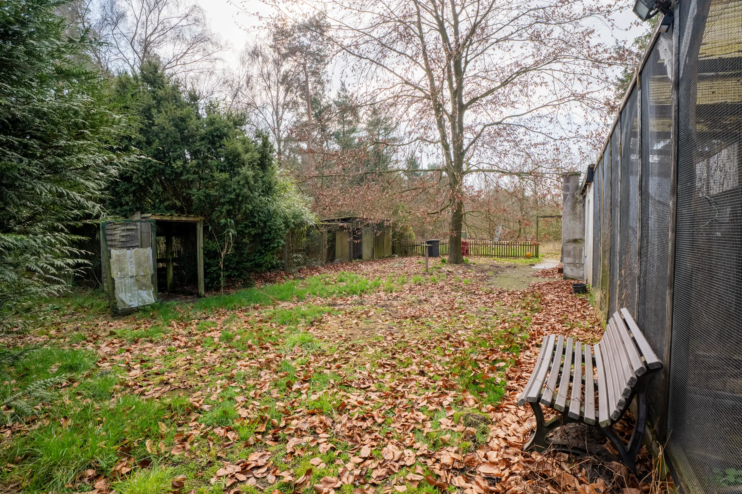 Gartenansicht mit altem Baumbestand, Rasenfläche und Nebengebäuden auf dem Grundstück des Einfamilienhauses in Gronau-Epe.