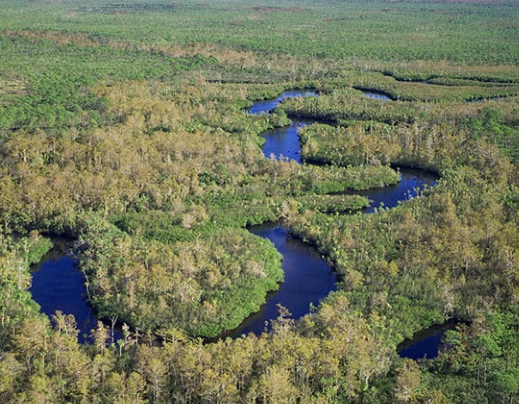 Loxahatchee River Aerial Photo