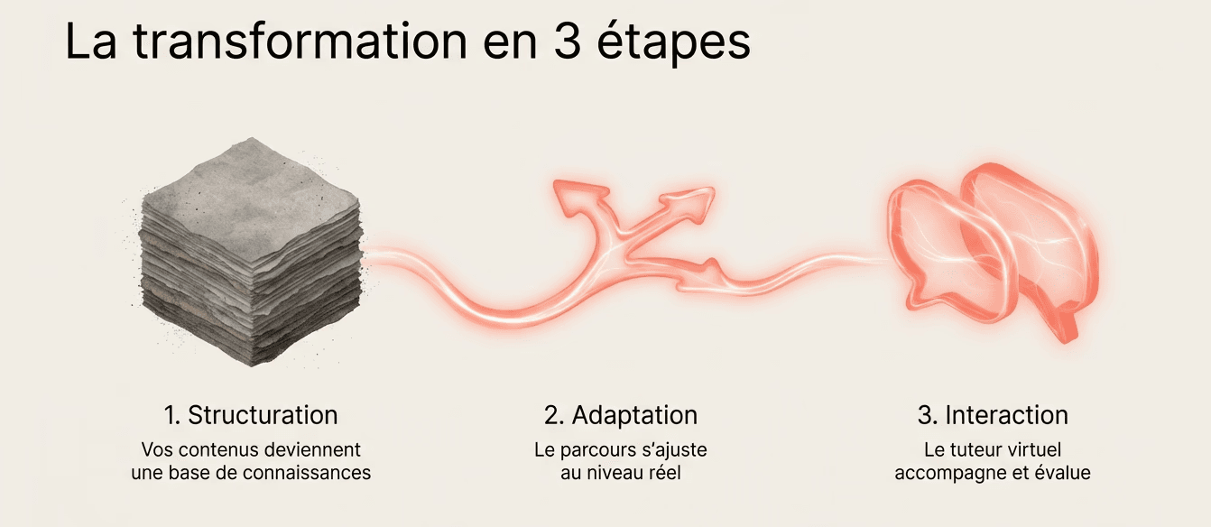 Compétences périssables : quand un savoir passe de 30 ans à 2 ans de durée de vie