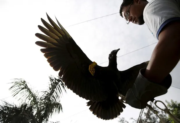 Evaluation and Results