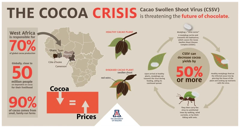 Cacao Crisis Infograph 9999-01.png