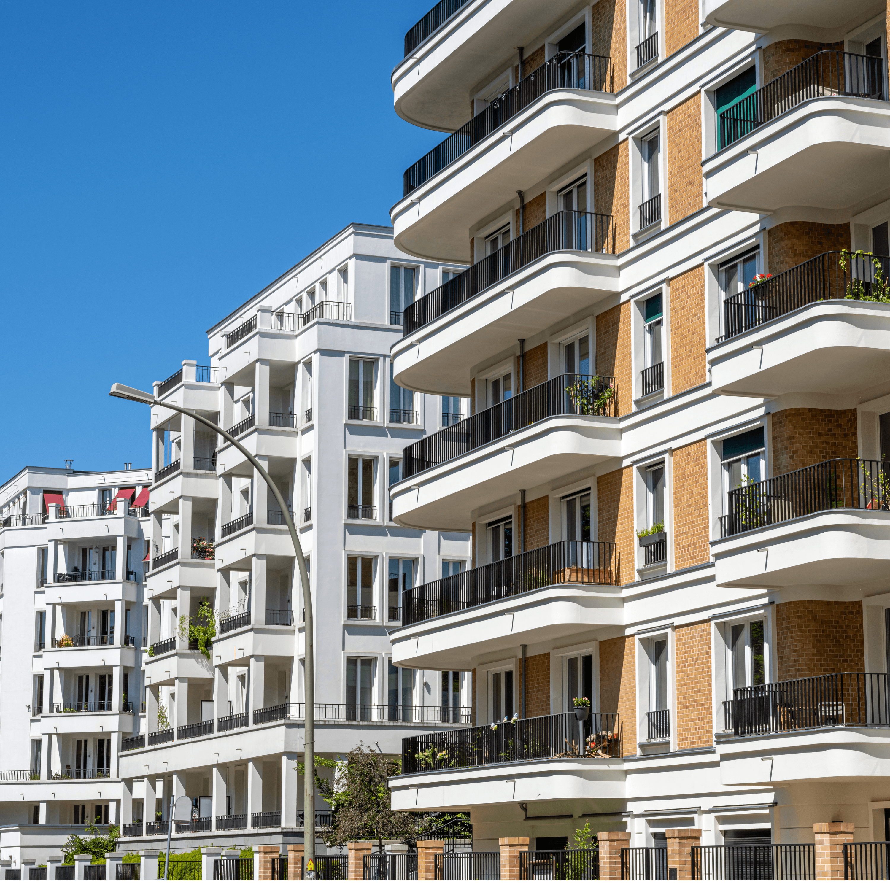 client feedback design