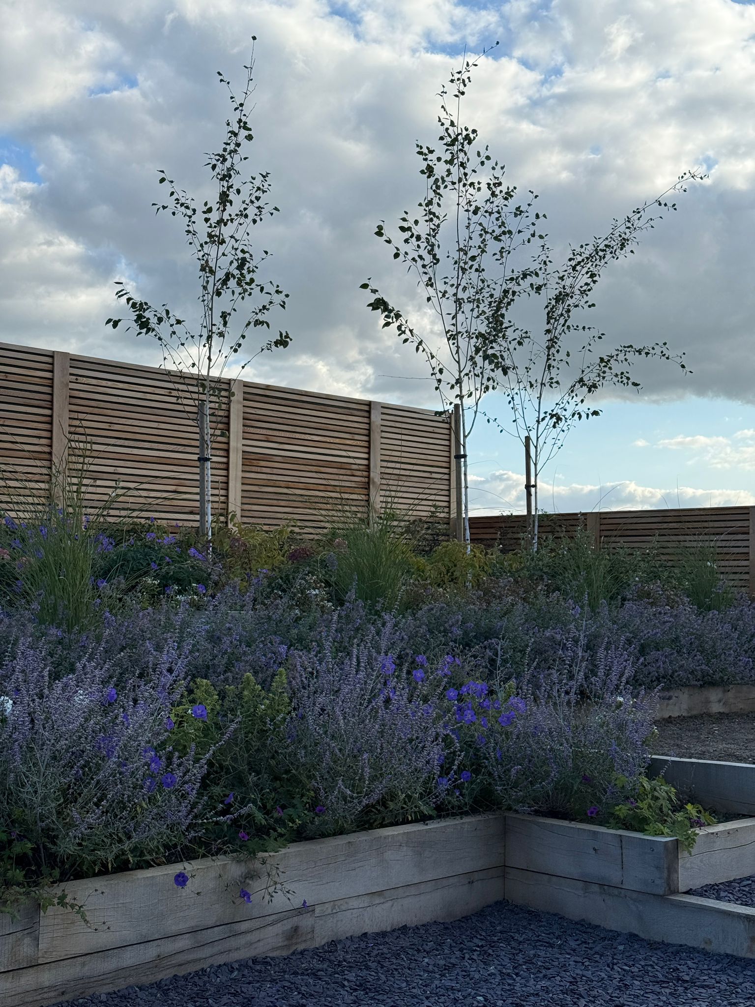 Wood&all seasonal planting, landscaping, fencing, gardening