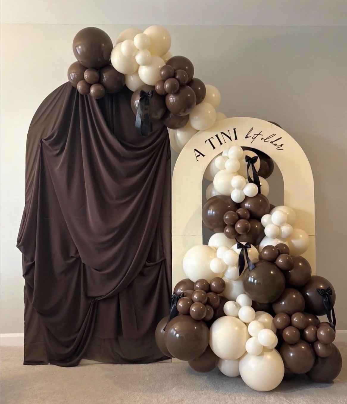 DIY Balloon Kit 2