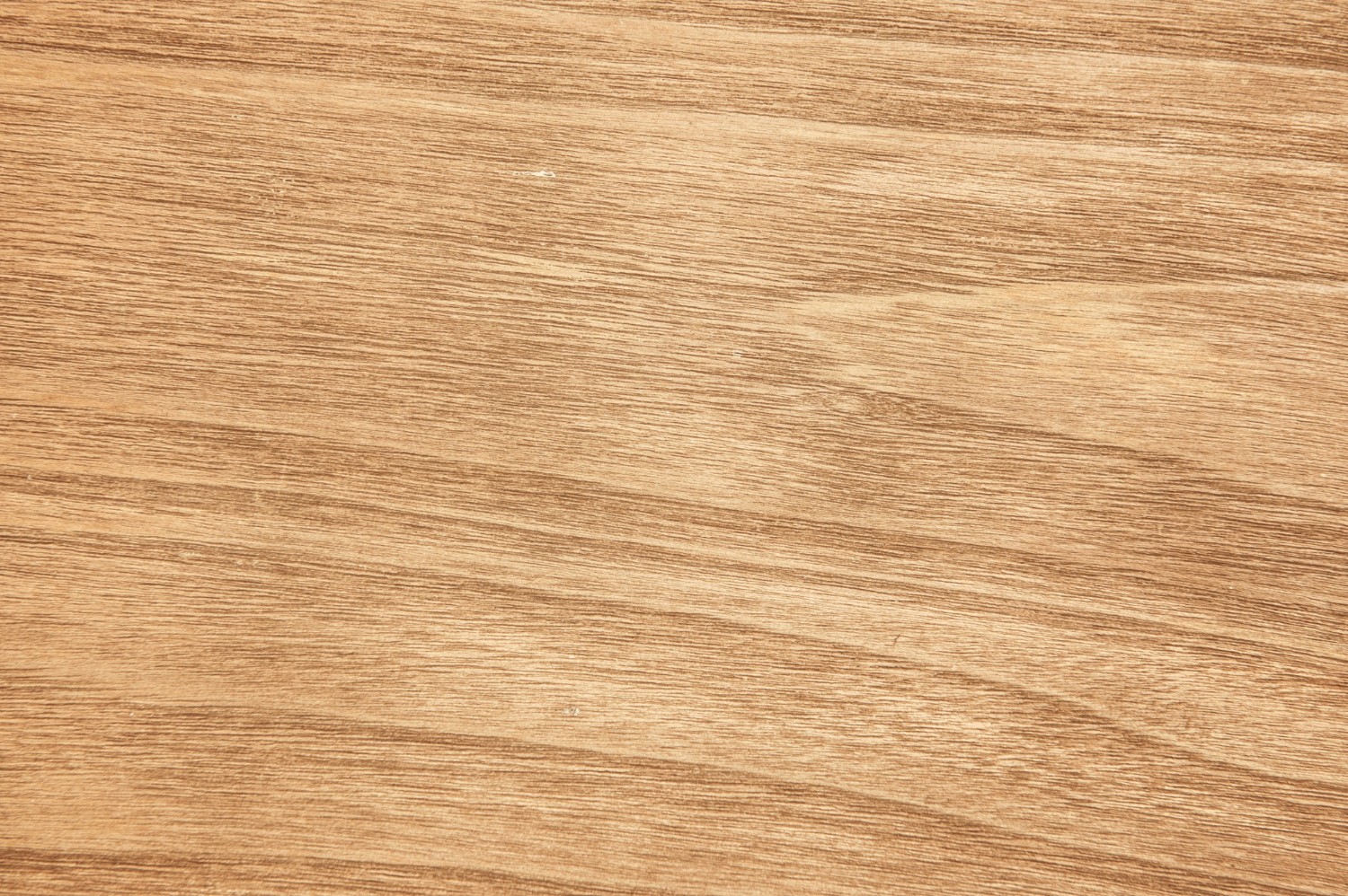 Texture