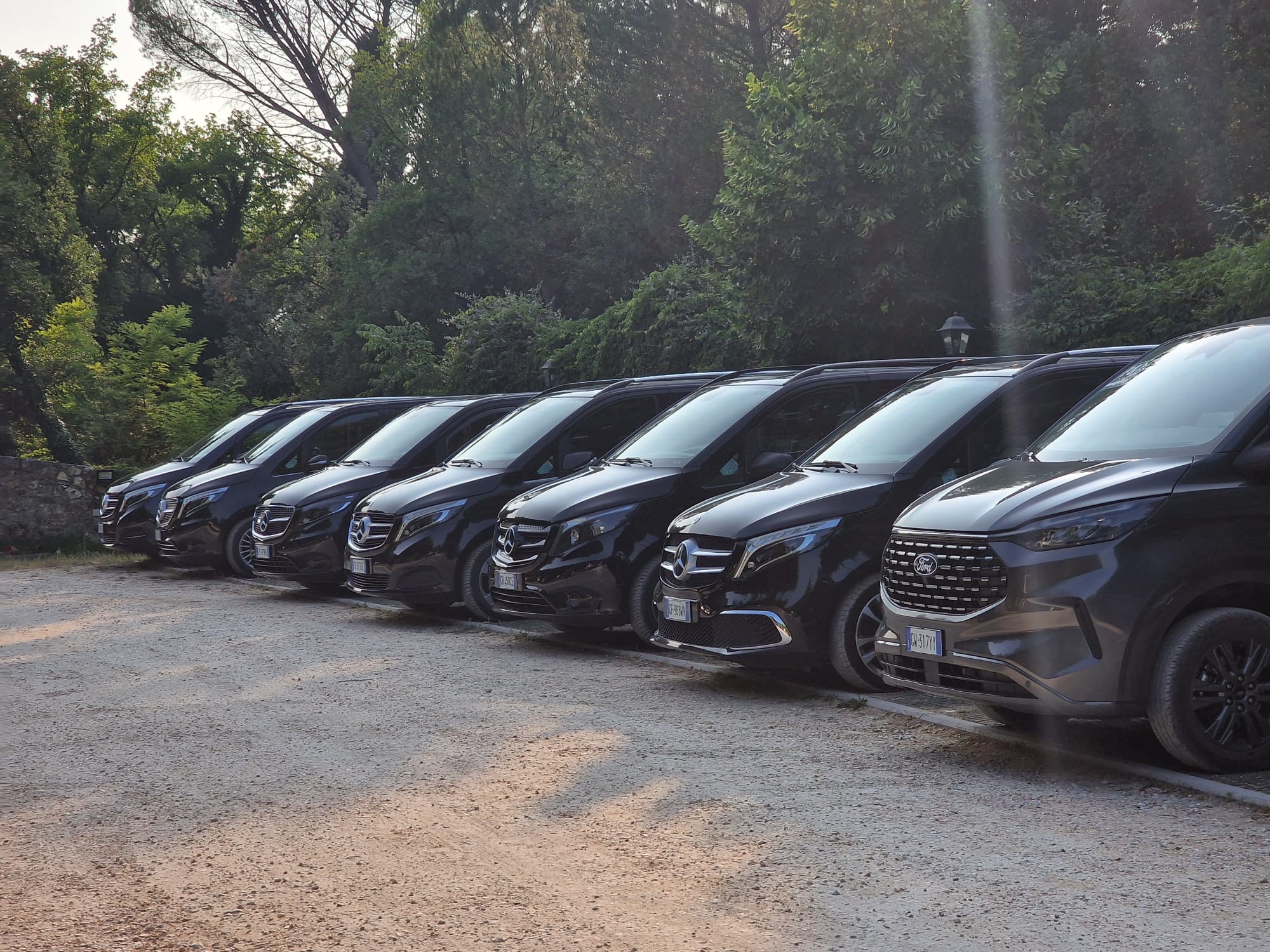 A lineup of Mercedes vans waiting for use in front of a foresty background.