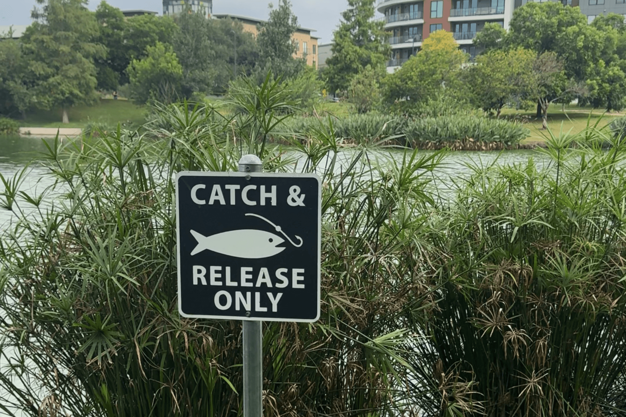 Catch & Release sign at Girard Kinney Lake Park