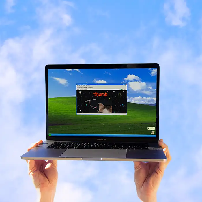 Lazy loaded image