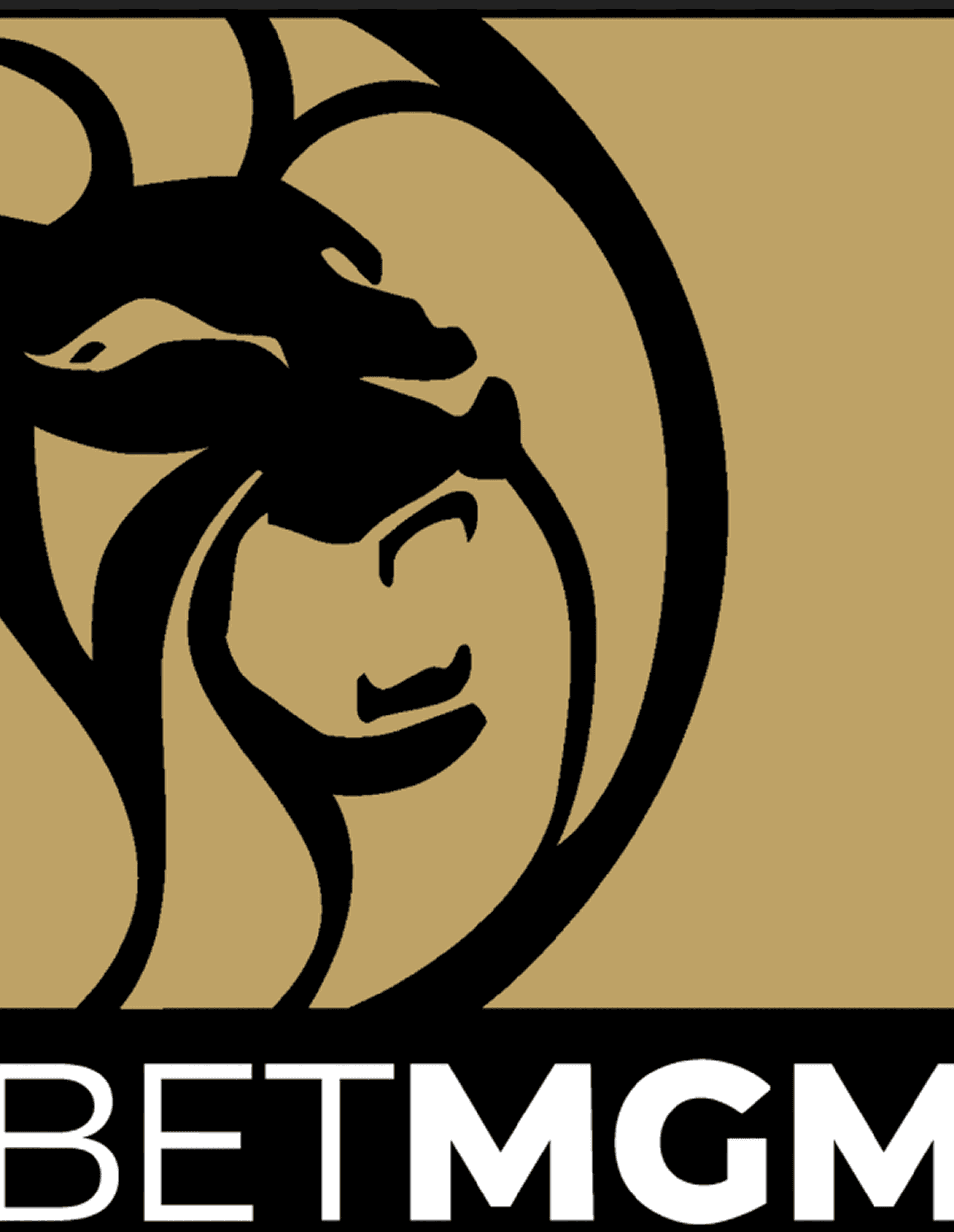 BetMGM Product Designer