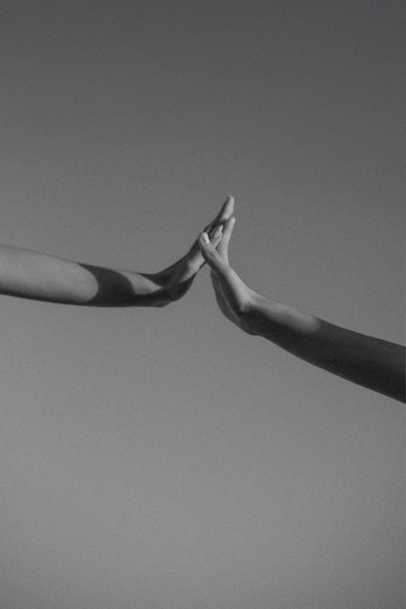 CUSTOM WORDPRESS AND WEBFLOW WEBSITE DESIGN