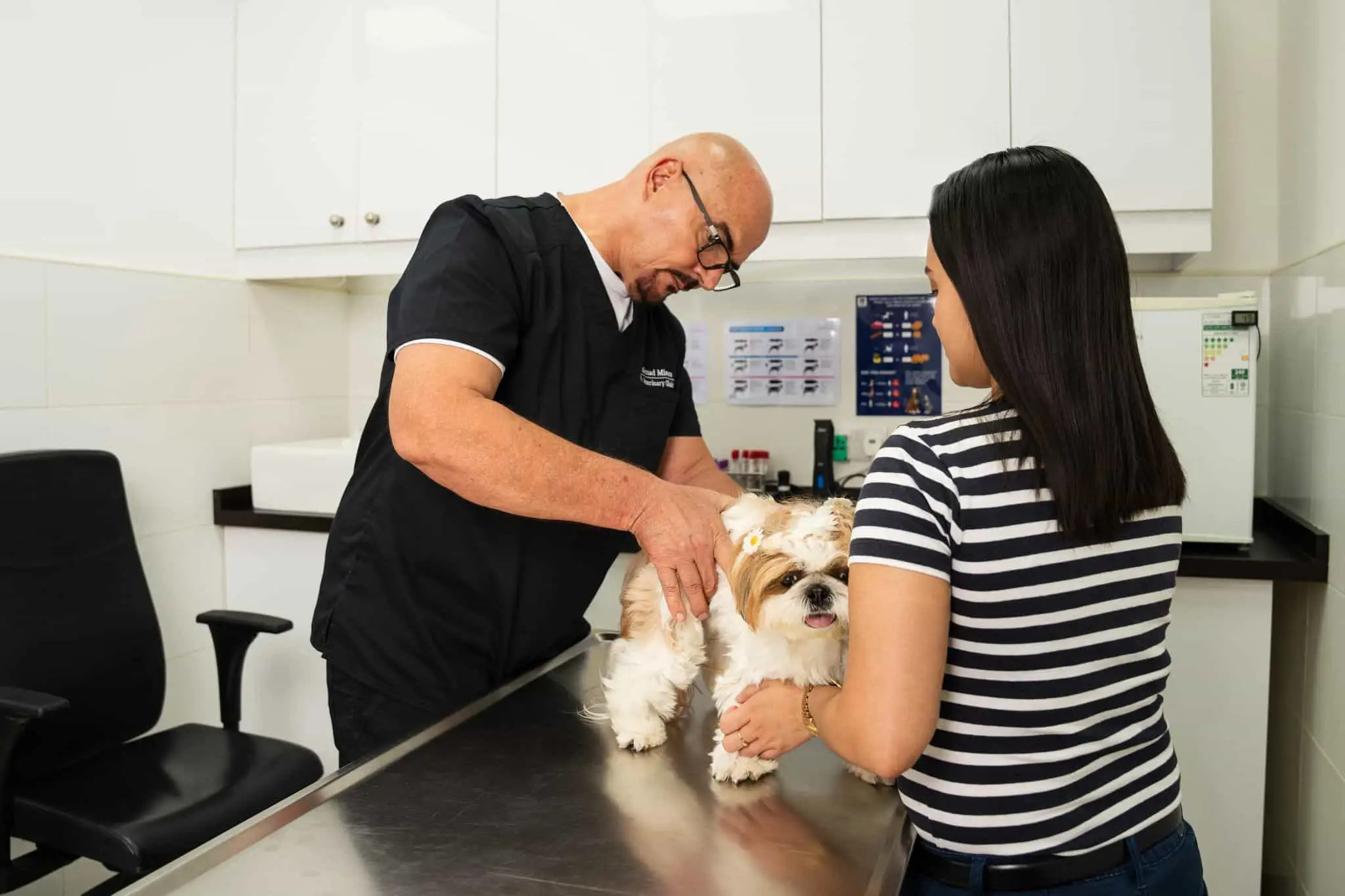 Vet clinic scene showing Dr. Nenad Misura and a pet owner working together to comfort a small dog during an exam.