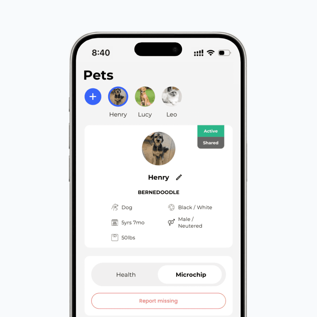 a person petting a brown and white dog