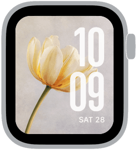 spring tulips Apple Watch face preview 1 featuring floral, watercolor, and spring.