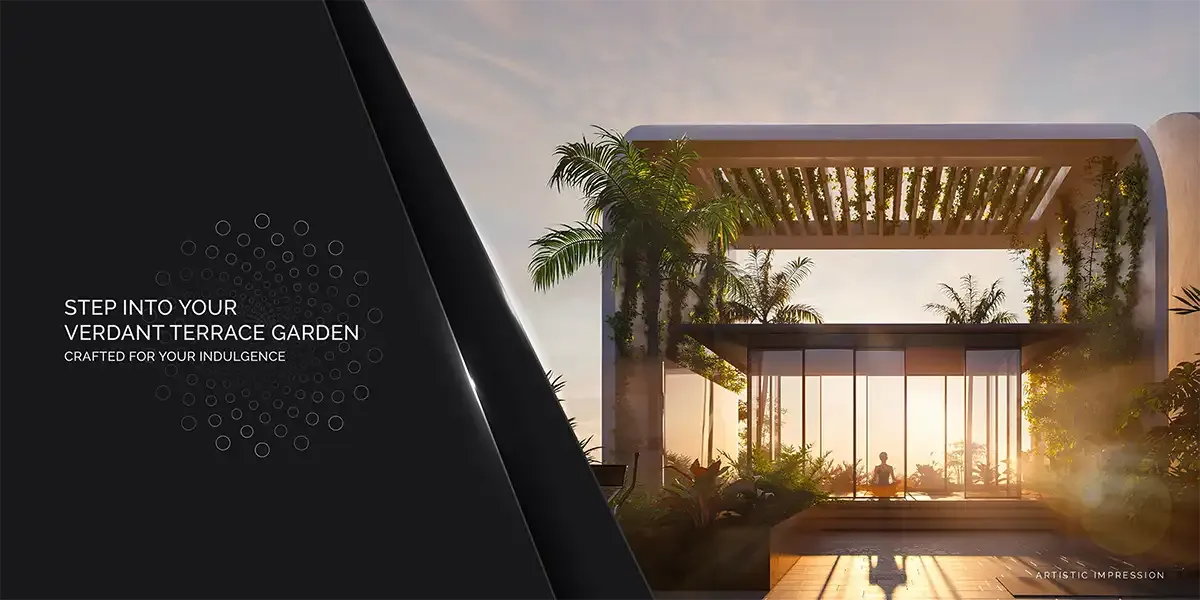 Aura The Aerth 79 Overview