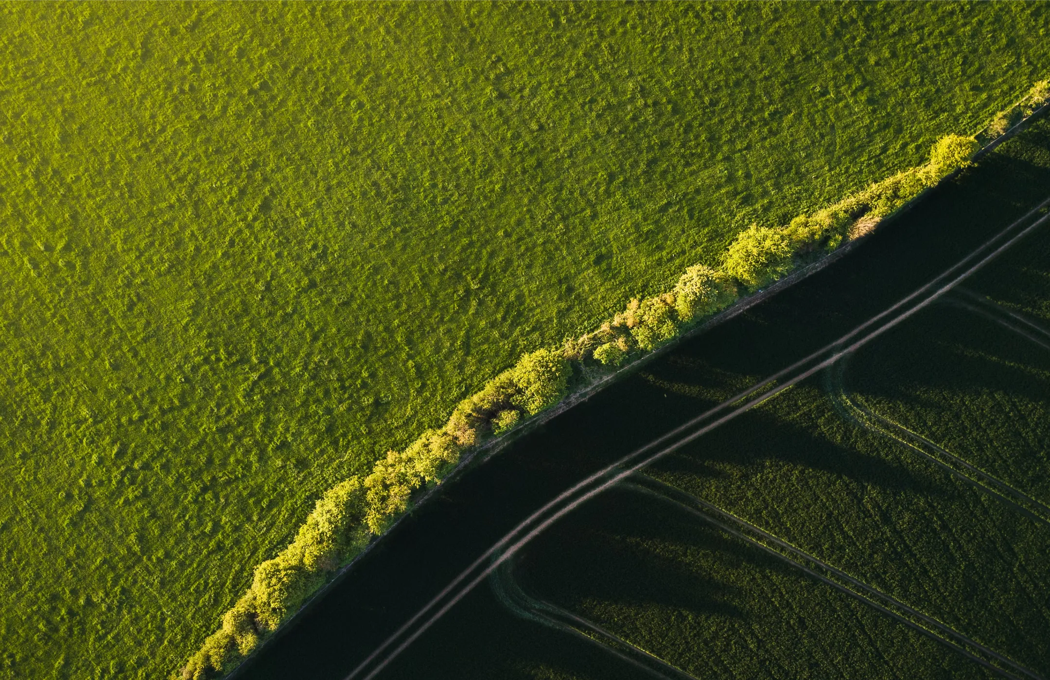 Green farmland aerial landscape view