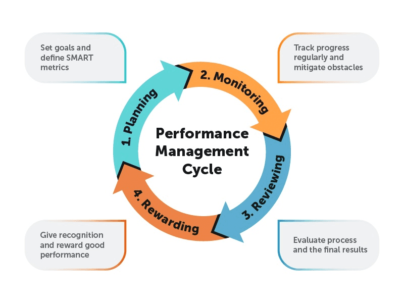 the performance management cycle