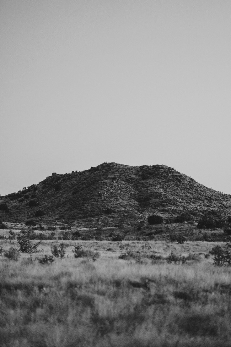 commercial interior design by Alexander Maxwell Studio