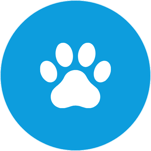 Pets Icon