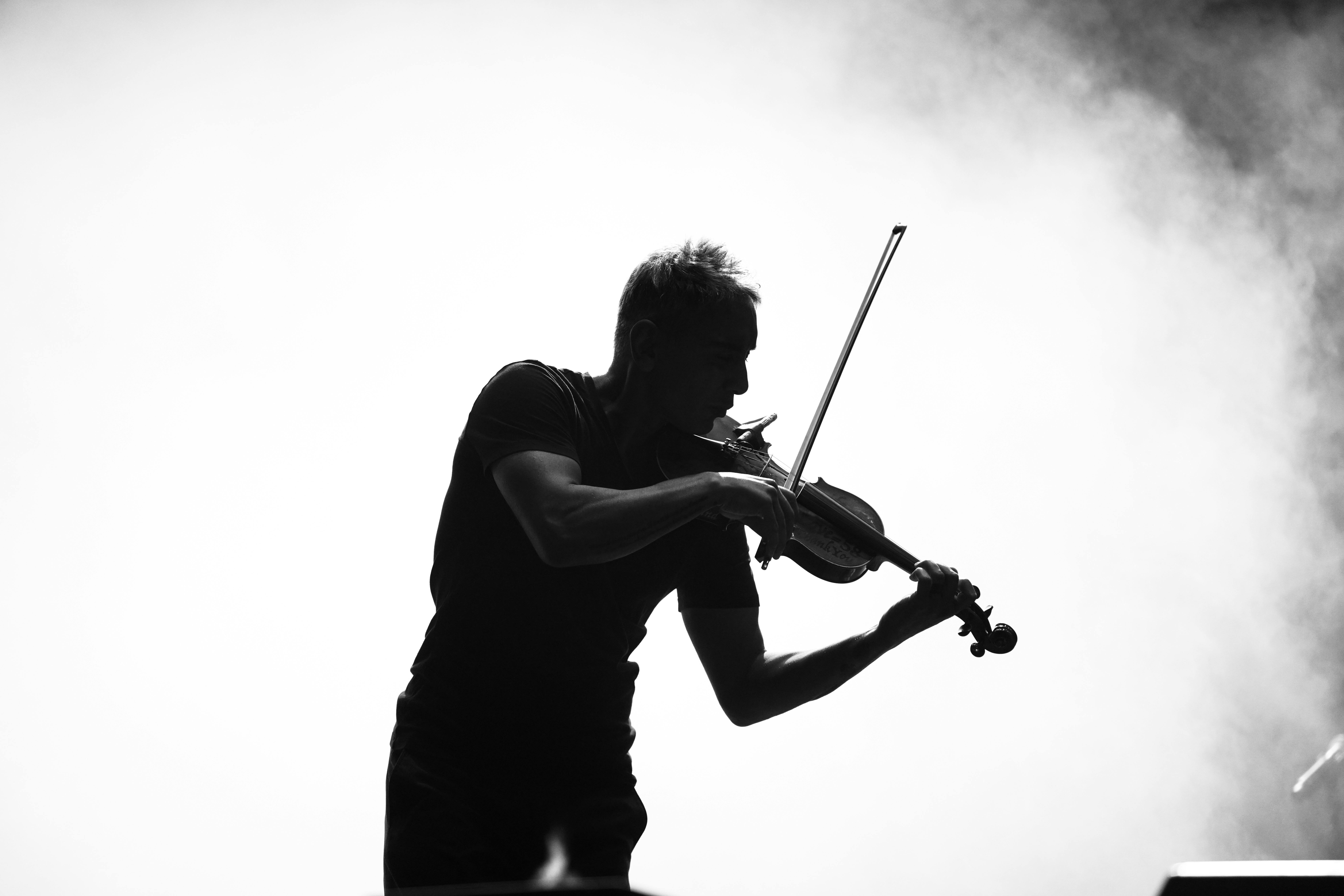 Orchestra in shadowed harmony