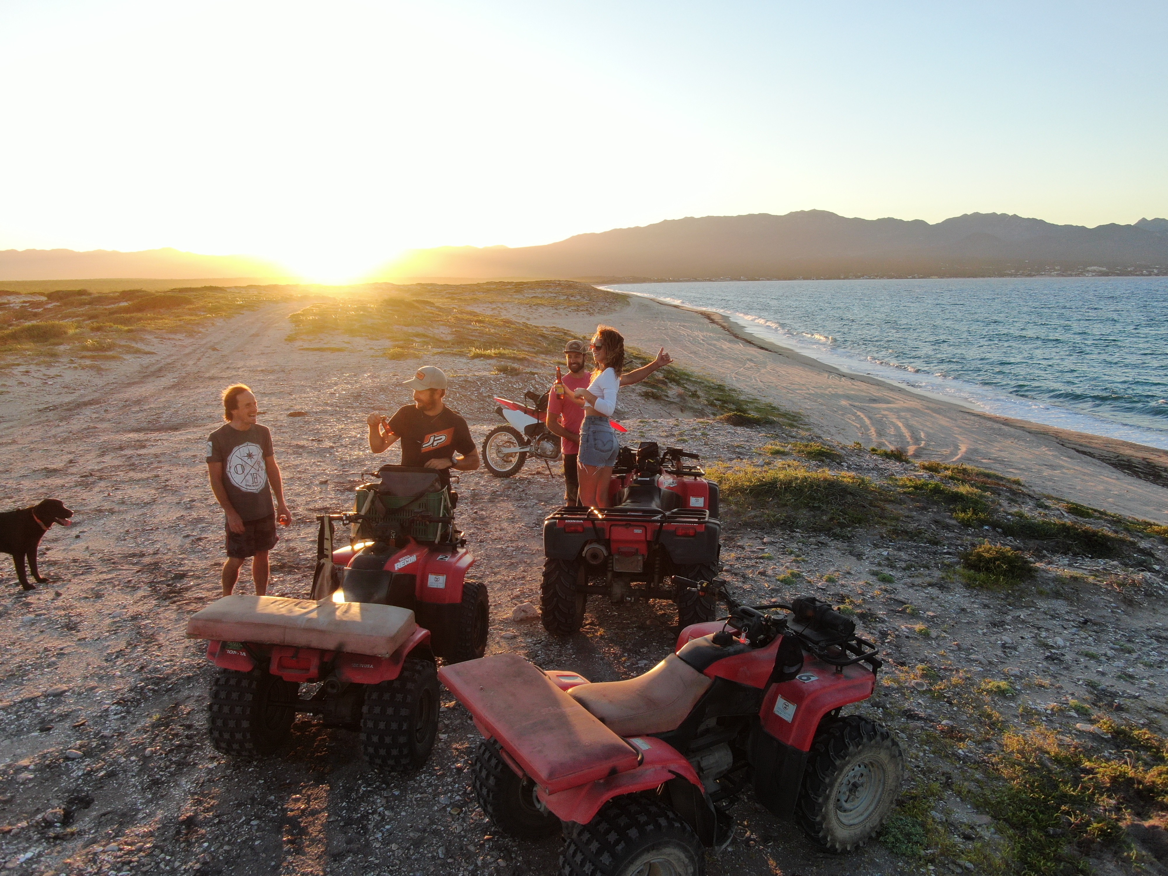 Black and white wave