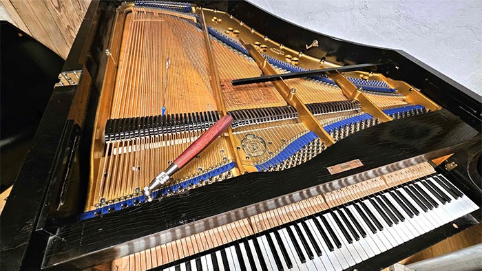 Flügel-Klavierinneres mit Stimmstiften und Saiten – professionelle Klavierstimmung