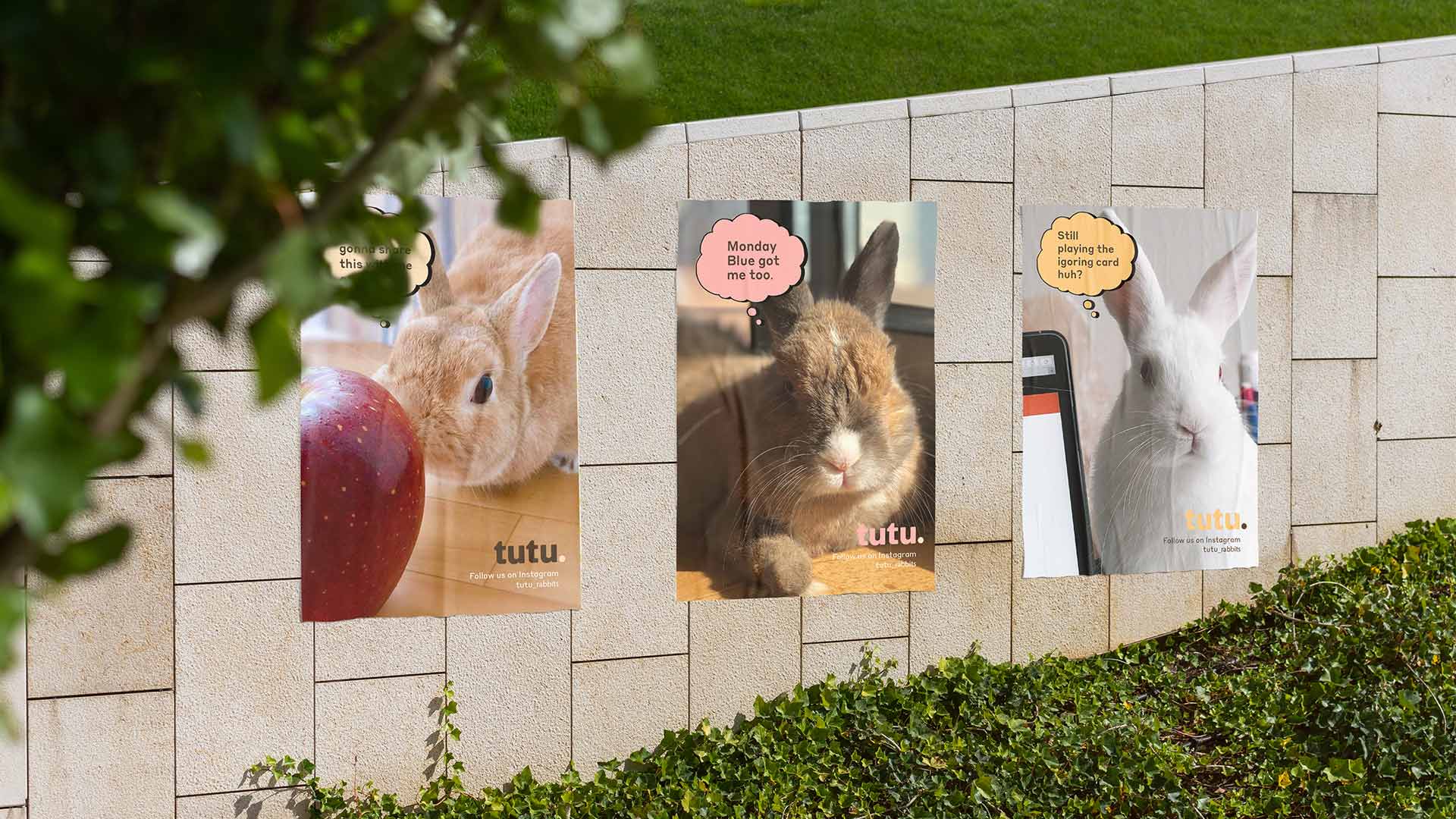The image shows three vertical posters mounted on a light beige or cream-colored tiled wall. The leftmost poster features a brown rabbit and a red apple, with text including “Going Strong Day, Monday Too.” The middle poster displays a brown rabbit and the text “Still the Ivorian Card Hound You?” The rightmost poster shows a white rabbit, and the text includes “Still the Ivorian Card Hound You?”. The posters are partially obscured by green foliage in the foreground.