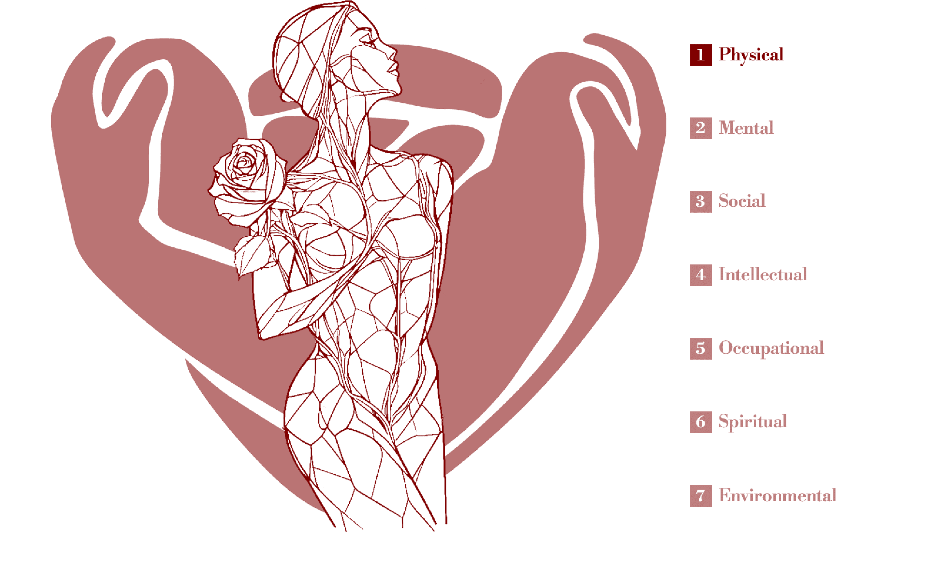 7 Pillars of Health Graphic