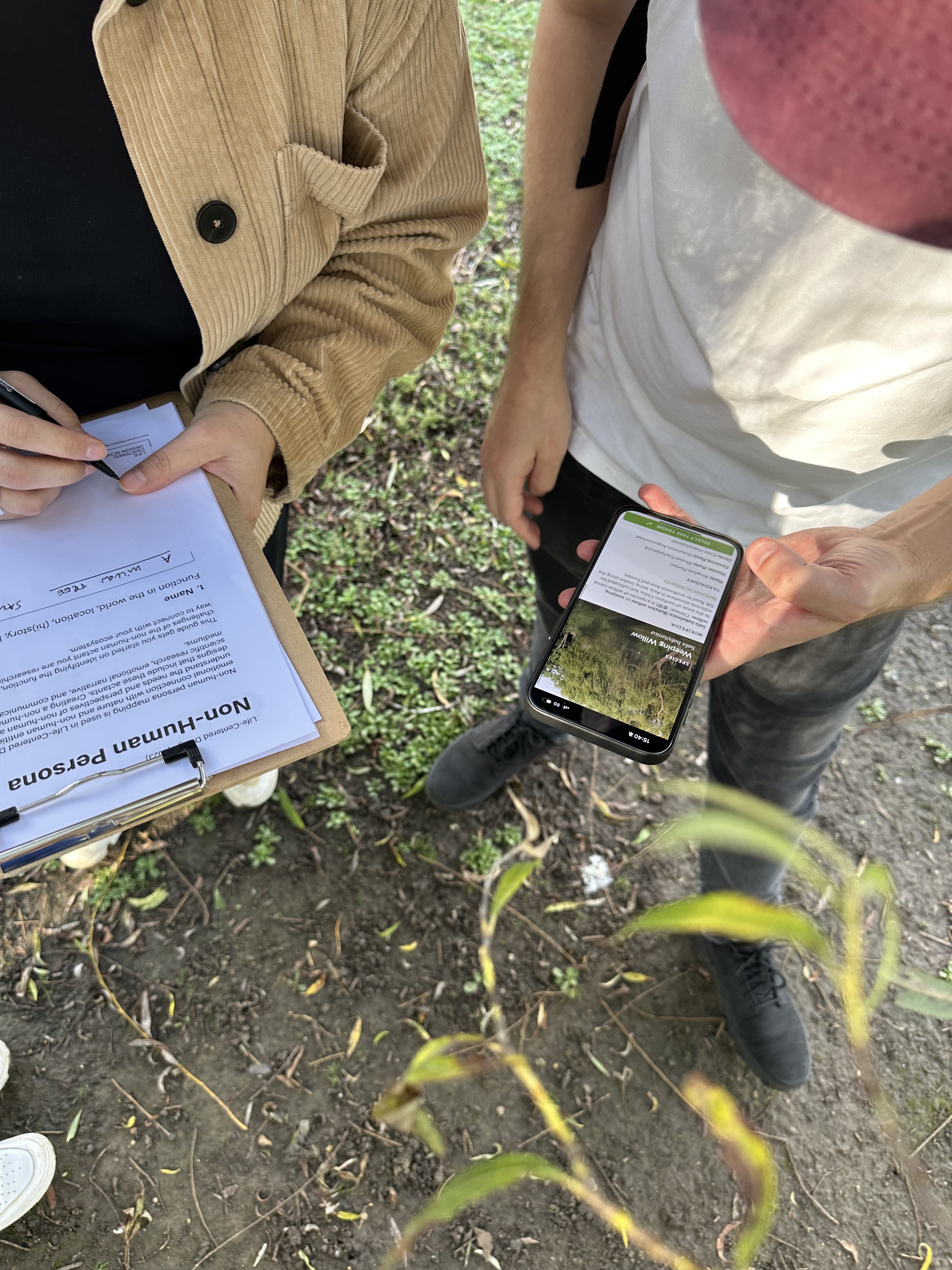 Group is wotking on creating non-human persona of a willow tree in London.