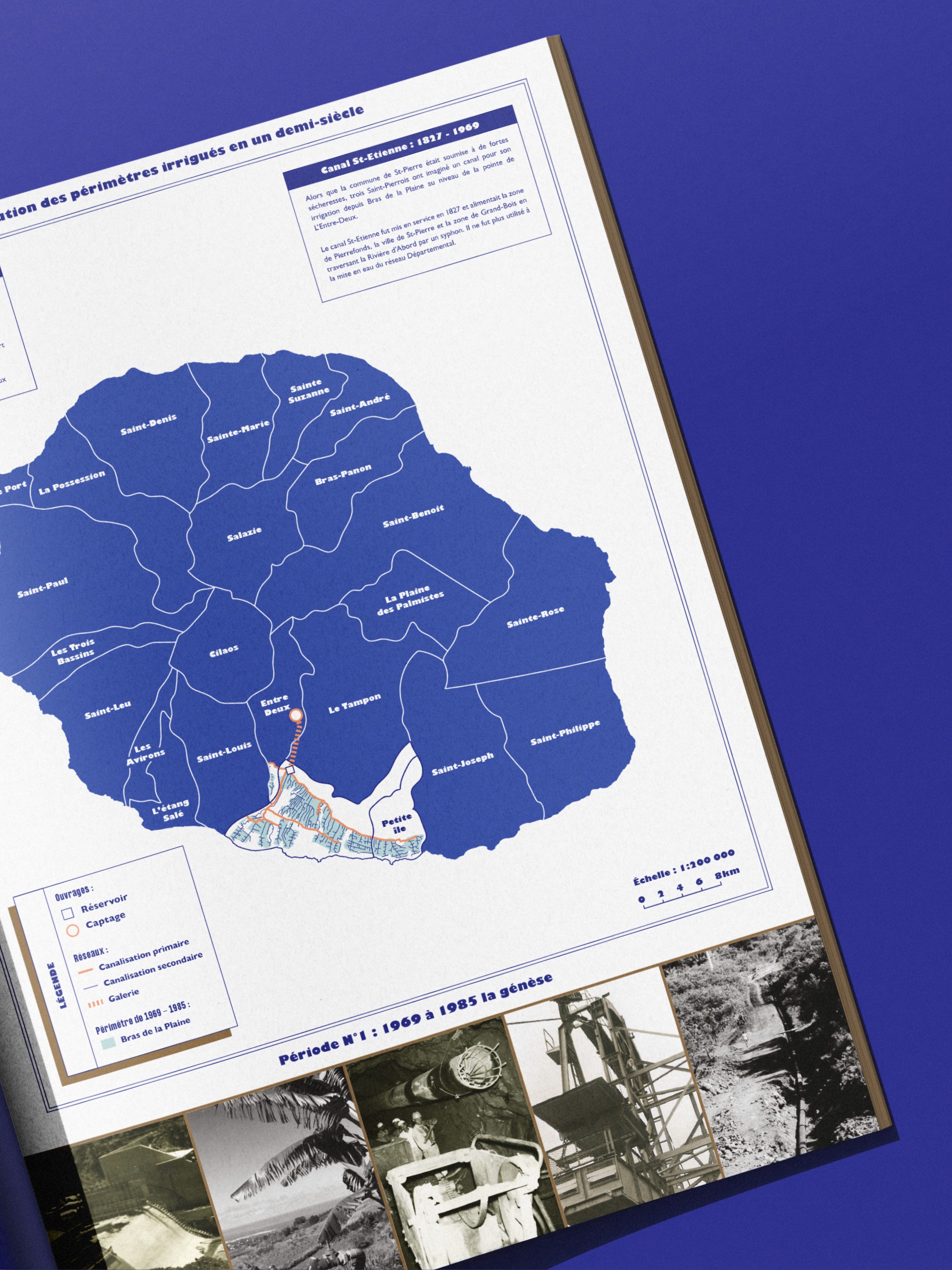 Modern home office setup with a monitor, ergonomic chair, keyboard, and indoor plants near a window with blinds.
