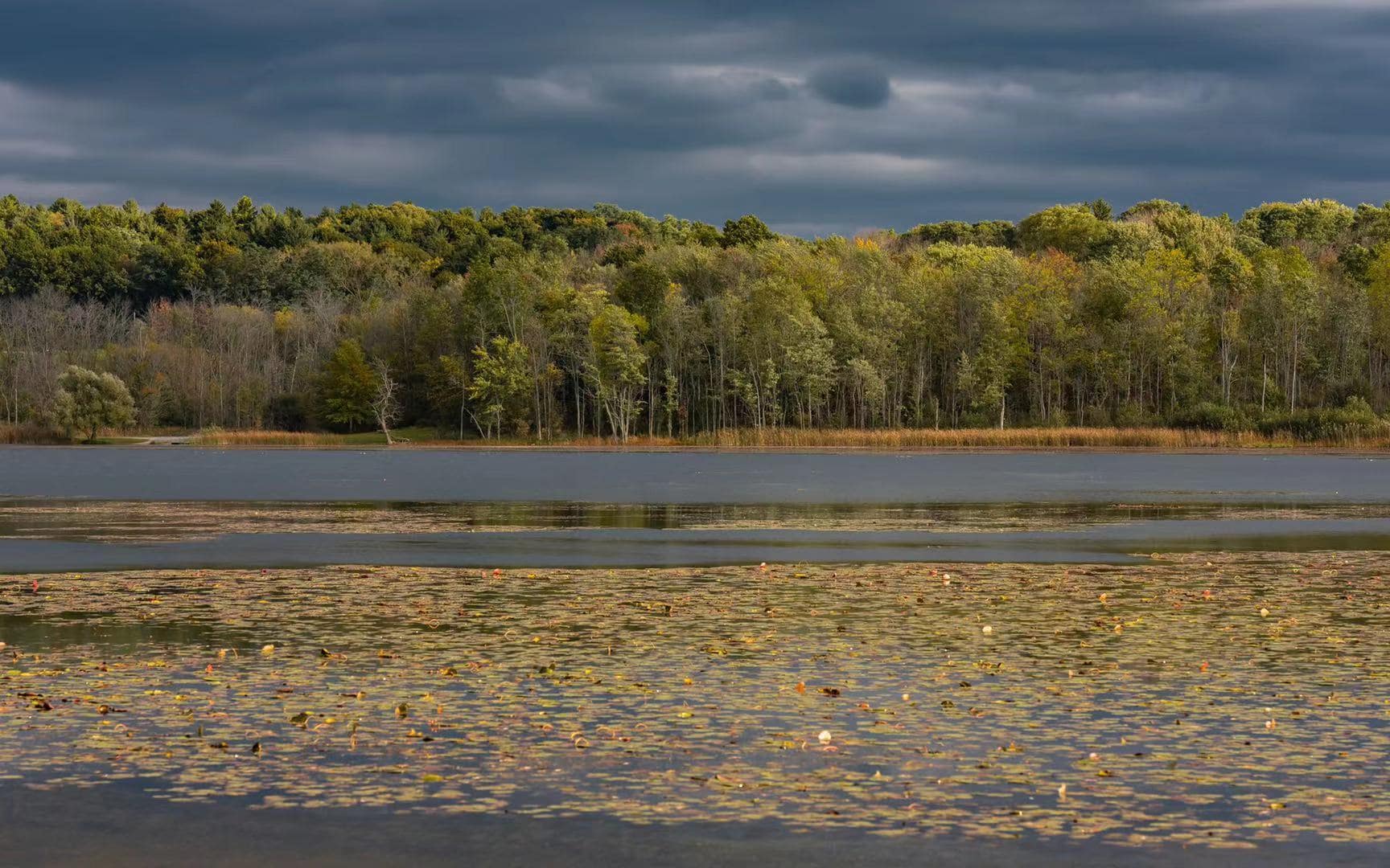 image of a man diving in a lake