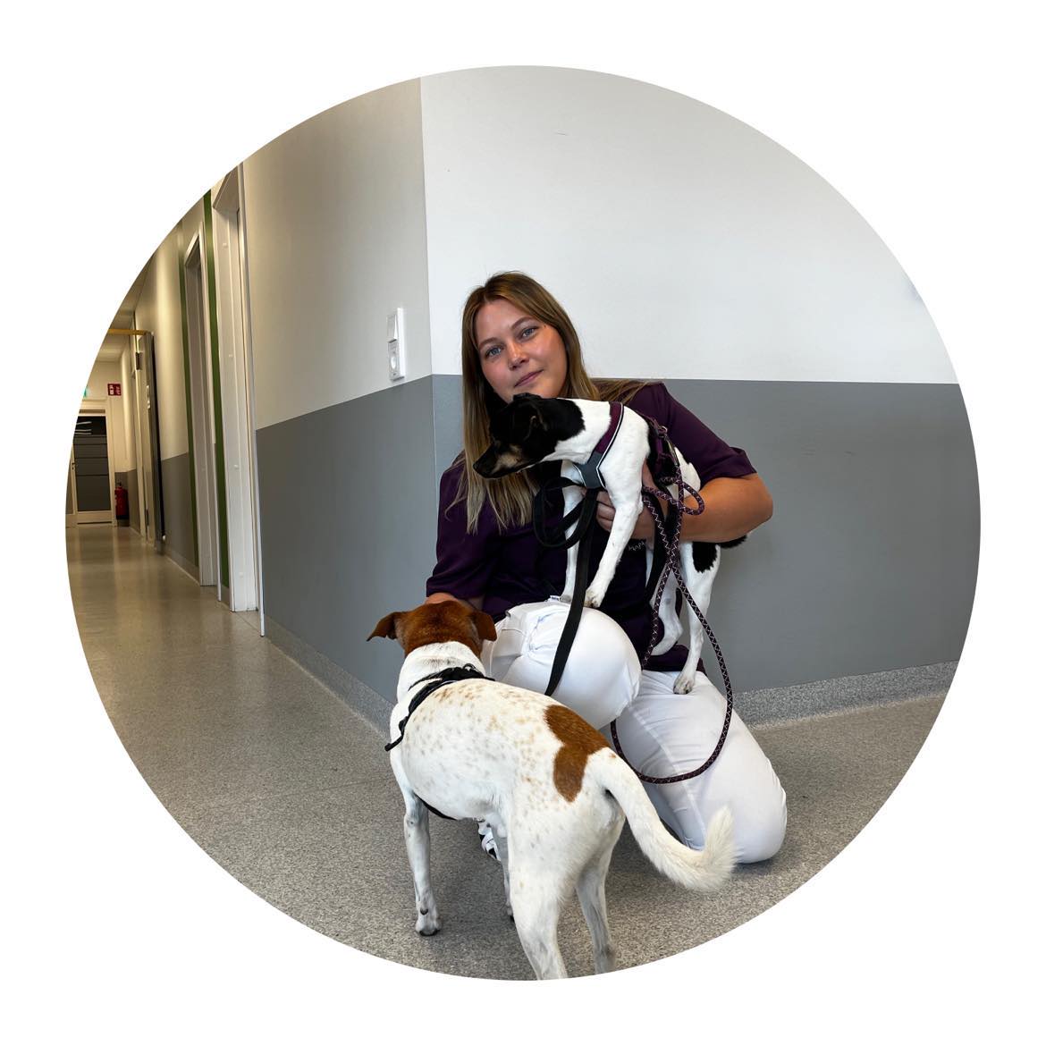 Veterinär Malin Kihl Sandberg